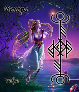 Венера copy copy